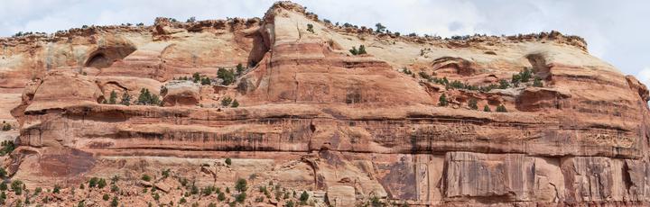 More canyon walls, this time with some ledges containing trees