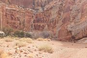 Large amphitheater in the canyon