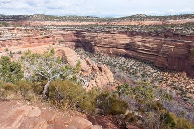 View of Ute Canyon from the rim