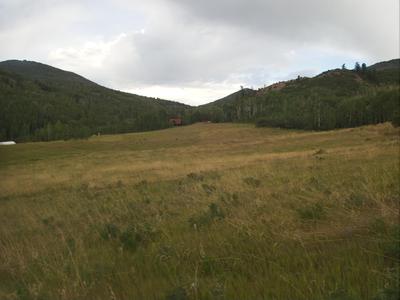 Field shortly after the start line